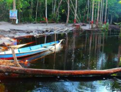 Wisata Ecotourism Eksotik di Danum Bahandang Palangka Raya Dengan Sungai Merahnya