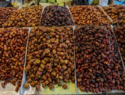 Rahasia di Balik Kurma, Superfood Berusia Ribuan Tahun