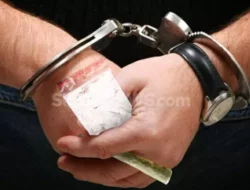 Geger! Oknum Polisi Edarkan Ekstasi ke Para Wisatawan di Pulau Berhala, Kepri