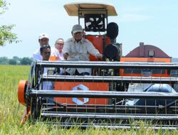 Prabowo Pimpin Panen Padi Serentak di 14 Provinsi: Petani adalah Pahlawan Bangsa!