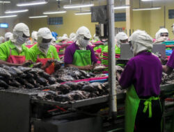24 Ribu Orang Kena PHK per April 2025, Terbanyak di Industri Pengolahan