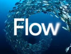 Google Resmi Umumkan Flow, Fitur AI Yang Mampu Bikin Video Sinematik