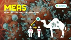 Virus MERS-CoV Merebak, Netty Prasetiyani Imbau Jemaah Haji Disiplin Jaga Kebersihan