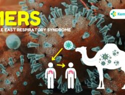 Virus MERS-CoV Merebak, Netty Prasetiyani Imbau Jemaah Haji Disiplin Jaga Kebersihan