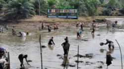 Nangguak Tebat, Tradisi Suku Serawai di Bengkulu Sambut Idul Adha