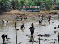 Nangguak Tebat, Tradisi Suku Serawai di Bengkulu Sambut Idul Adha