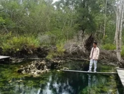 Air Panas Asin Pemapak, Keajaiban di Tengah Hutan Biatan Bapinang, Berau Kaltim