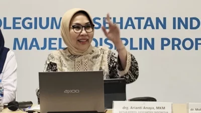 KKI Dukung Dokter Umum Dilatih Jadi Dokter Spesialis Kandungan di Daerah 3T dan DTPK