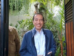 Ade Irfan Pulungan: PPP Dipimpin Jokowi, Insya Allah Bisa Kembali ke DPR