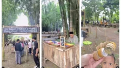 Buka 35 Hari Sekali Tiap Minggu Wage, Pasar Keramat di Mojokerto Unik dan Bikin Nostalgia