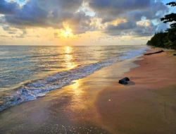 Ini Daftar 7 Destinasi Wisata Terbaik di Kaltara Yang Wajib Kamu Kunjungi