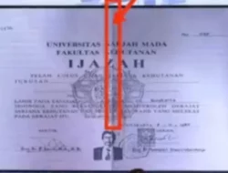 Pakar Forensik Bongkar Kejanggalan Teknologi pada Skripsi Jokowi