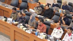 Kementerian Komdigi Blokir Situs Peduli Lindungi Usai Terindikasi Judi Online