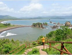 Teluk Love Jember: Antara Laut Biru, Tebing Hijau dan Debur Ombak Yang Menenangkan