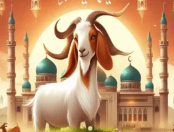 Syarat-syarat Hewan Yang Bisa Dikurbankan Saat Idul Adha, Apa Saja?