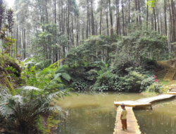 Kunjungi Wana Wisata Prabalintang, Nikmati Pesona Alam Penuh Petualangan di Tegal