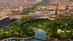 Koleksi Hewannya Unik dan Luar Biasa, Ini 5 Kebun Binatang Keren di Arab Saudi