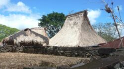 Mengunjungi Wologai, Desa Adat Berusia 900 Tahun di Ende, NTT