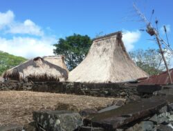Mengunjungi Wologai, Desa Adat Berusia 900 Tahun di Ende, NTT