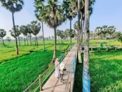 Edu Wisata Lontar Sewu, Destinasi Keluarga Yang Seru di Menganti, Gresik