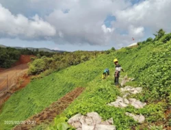 Kementerian ESDM Pastikan Tak Ada Masalah Lingkungan di Area Tambang Nikel Pulau Gag, Raja Ampat