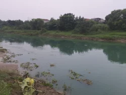 Air Sungai Citarum di Karawang Berubah Kehijauan, Diduga Tercemar Limbah Pabrik