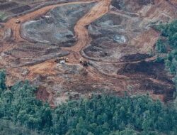 Siapa Pemilik PT Gag Nikel Yang Tambangnya Beroperasi di Raja Ampat?