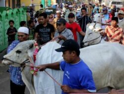 Tradisi Idul Adha Dengan Kearifan Lokal Indonesia: Apitan, Ngejot Hingga Manten Sapi