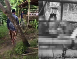 Geger! 8 Ekor Kambing Disembelih Maling Dalam Kandang di Tangerang, Pelaku Punya Ilmu Hitam?