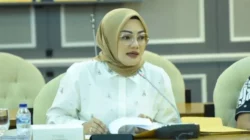 Adde Rosi Khoerunnisa Tanya Kesiapan APBN Laksanakan Putusan MK Gratiskan Sekolah Swasta