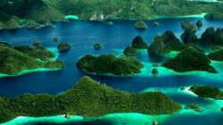 4 IUP Nikel Dicabut! Izin Tambang Milik Aguan Disikat Pemerintah, Ketum APIB: Hentikan Oligarki Perusak Raja Ampat!