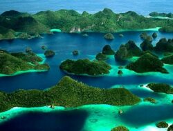 4 IUP Nikel Dicabut! Izin Tambang Milik Aguan Disikat Pemerintah, Ketum APIB: Hentikan Oligarki Perusak Raja Ampat!