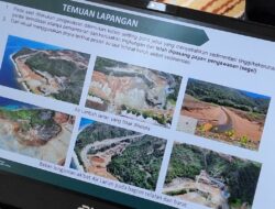 13 Perusahaan Ini Diberi Izin Aktivitas Tambang di Kawasan Hutan Sejak Era Megawati