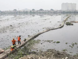 Krisis Sampah Makin Parah, Pemprov Jakarta Jangan Hanya Andalkan Bantar Gebang
