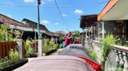 5 Tradisi Idul Adha Turun Temurun di Jawa Timur: Manten Sapi Hingga Mepe Kasur
