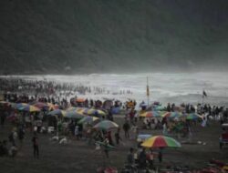Puluhan Wisatawan Tersengat Ubur-ubur ‘Spongebob’ di Pantai Parangtritis, Yogyakarta