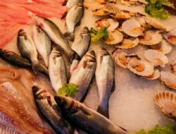 Ini 5 Makanan Khas Papua Yang Terbuat Dari Ikan