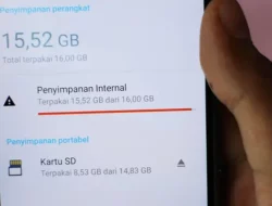 Ini Sederet Aplikasi Yang Harus Dihapus Dari Hp Agar Memori Tidak Penuh