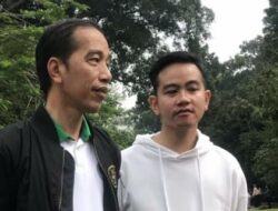 Buni Yani: Jokowi Serius Persiapkan Gibran Untuk Pemilu 2029