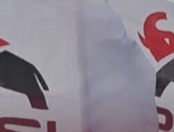 Netizen Sebut Logo Baru PSI Lebih Mirip Babi Daripada Gajah: Kodok Lebih Berwibawa!