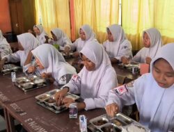 BGN Minta Masyarakat Bercocok Tanam dan Beternak Penuhi Suplai Bahan Baku MBG