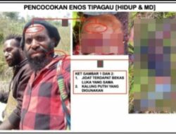 Prajurit TNI Lumpuhkan Tokoh OPM Enos Tipagau di Intan Jaya