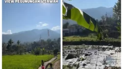 Tak Ada di Google Maps, Pemandangan Desa Viral di Puncak Ini Bikin Kita Lupa Pulang