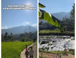 Tak Ada di Google Maps, Pemandangan Desa Viral di Puncak Ini Bikin Kita Lupa Pulang