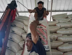 Pengamat Soal Harga Beras Naik Terus Meski Surplus: Bukan Anomali! Kebijakannya Buruk