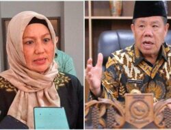 Ijazah S1 Wagub Babel Hellyana Terindikasi Palsu, Gunakan Ijazah SMA Saat Pilkada 2024