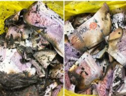 Digerebek KPK, Manajer Perusahaan Konstruksi Bakar Barang Bukti Uang Tunai Rp. 384,4 Miliar