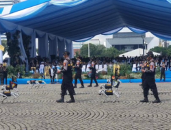 Dari China, Harga Robot Kaki Empat I-K9 Polri Rp. 4 Miliar