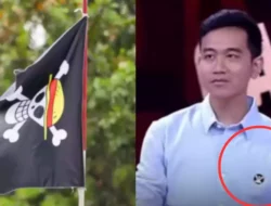 Lambang One Piece, Jolly Roger: Dulu Dipakai Gibran, Kini Dianggap Penghancur Persatuan Bangsa
