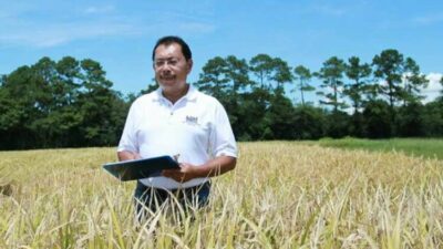 Herry Utomo: Arek Malang Alumni UB Yang Jadi Profesor LSU, Penemu Beras Tinggi Protein Pertama di Dunia